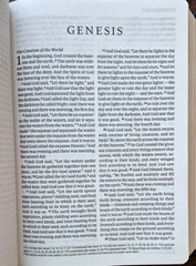 ESV Large Print Compact Bible, Red Letter (Buffalo Leather, Deep Brown) NEW