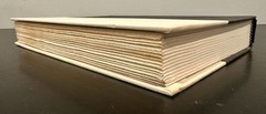 The 48 Laws of Power by Robert Greene (1998, Hardcover) * 1st Ed/1st Print*