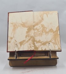 The Negro a menace to American civilization 1907 R. W. Shufeldt [LEATHER BOUND]