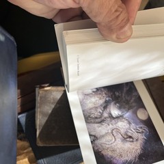 A SUSAN SEDDON BOULET BESTIARY: A BOOK OF POSTCARDS