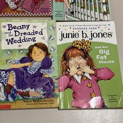 Lot Of 13 Chapter Books Girls Interest Grades 1st-3rd Ages 6-9 J
