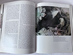 Our Vanishing Wilderness Grossman & Hamlet Hardcover 1969 Size 9″ x 11.5″