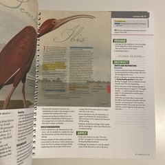 BJU Exploring Themes in Literature, Teacher Edition Part 1, 5th Edition