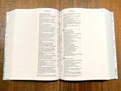 French Journal Bible, Segond 21, Blue Flower Cover & Pages, Padded Hardcover
