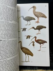 Birds of Brazil The Pantanal & Cerrado Central Brazil 2010 Sftcvr Like New B3