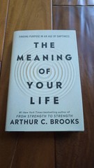 The Meaning of Your Life: Finding Purpose in an Age of Emptiness