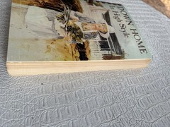 VTG Cookbook DOWN HOME IN HIGH STYLE 3rd Printing 1983 Dothan Alabama 396 Pages
