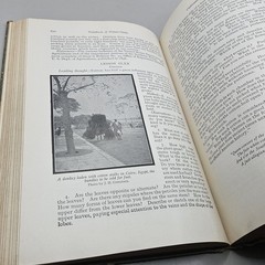 Handbook Of Nature-Study By Anna Comstock 1911 Published 1923