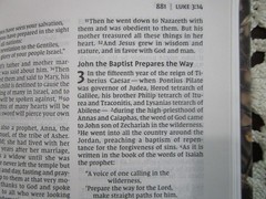 NIV 2011 Thinline Bible *Lost Camo Edition Red Letter* Imit Leather* 9.4pt