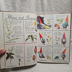 GNOMES Book By Wil Huygen & Illustrated Rien Poortvliet (1977 H.N Abrams Inc. HC