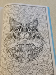 CAT COLORING – 32 Inspiring Designs for Adults -Relax & Enjoy -Escape & Breathe