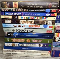 Lot of 28 Grade 3-6 Chapter Books Novels 14lbs / 39 Clues, ECHO , School of Fear