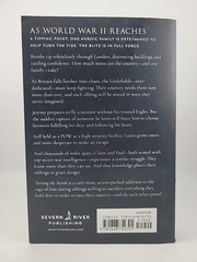 Turning the Storm By Lee Jackson (Paperback)