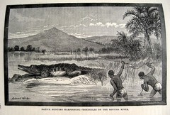 1898 Victorian Exploration Sea Travel Arctic Africa Tropics Safari Wild Animals