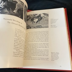 Signed Ltd Ed Edward Marshall Boehm 1913-1969 Book Slipcase Missing Medallion
