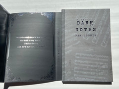 Dark Notes by Pam Godwin Books For Days Crate Edition