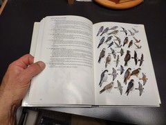 A Guide to the Birds of Southeast Asia Thailand Malaysia Singapore Myanmar Laos
