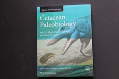 Cetacean Paleobiology Whales Dolphins evolution fossils Baleen Archaeocetes