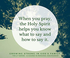 Growing Strong in God’S Family: Rooted and Built up in Him (The 2:7 Series)