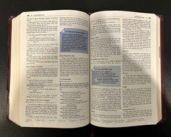The Student Bible NIV Zondervan (1996, Bonded Leather)