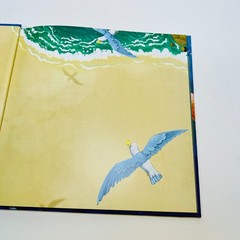 How to Catch a Mermaid Hardcover Adam Wallace & Andy Elkerton