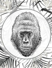 Save the primates Coloring book for Adults Teens 108 Pages 8.5 x 11 for All Ages