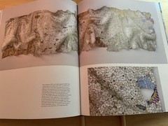 Anatsui : Art and Life by Susan M. Vogel (2021, Hardcover)