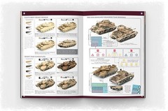 Flames of War: Colours of War: Painting World War II and World War III