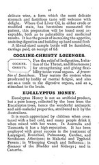 1895 Household Remedies 40 Pages