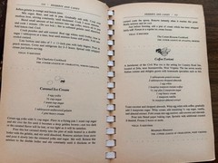 Southern Junior League Cookbook 1981 vintage Ann Seranne 626 pages spiral