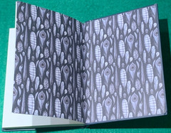 Ornithography by Jessica Roux 1st/1st HC 2024 Birds