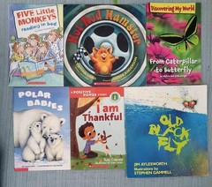 Lot 30 ACCELERATED READER AR Level 1.0-1.9 1ST GRADE Picture Books