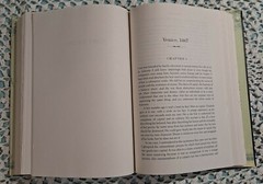 Stone’s Fall by Iain Pears, 2009 (1st U. S. Edition), HC w/ DJ, 594 pages