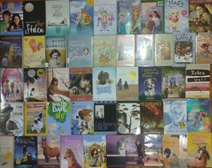 RANDOM Lot of 15 4th Grade AR Chapter Books RL Level 4.0-4.9 Homeschool Teacher