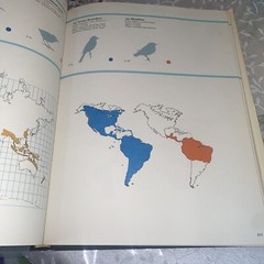 THE WORLD OF BIRDS, J. Fisher, Roger Tory Peterson, 1st Ed, 1964, HCDJ
