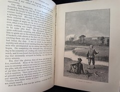 1889 The Badminton Library Fishing Pike and Other Course Fish Antique Sporting