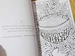 COLORFUL ESCAPES -A Wonderland of Color! Vol. 23 – Adult Coloring Book- 47 Pages