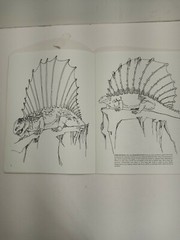 Vintage The Dinosaur Coloring Book by Anthony Rao Dover Publishing 46 Pgs 1980.