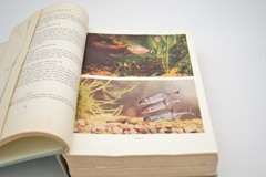 Freshwater Fishes of the World Gunther Sterba 1969 printing, Pet Library