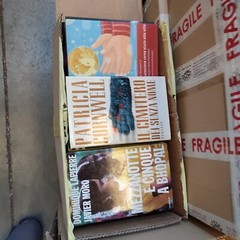 Mixed Lot Of 100 Novels Excellent Condition