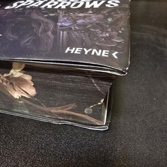 Devney Perry Pe Shield of Sparrows: Roman. Slow-burn Enem (Hardback)