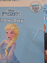 Phonics Reading Program Disney Frozen Boxed Set Scholastic 12 Books Short/Long