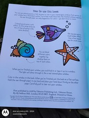 Stained Glass Coloring Book by Usborne w 14 see-thru pages to color dated 2018