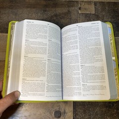 Biblia de referencia visual verde limon/ Visual Reference Bible Lime Green: NBD