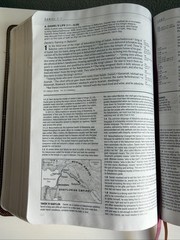 Life Application Study Bible NIV Large Print 2011 Italian Duo Tone Leather
