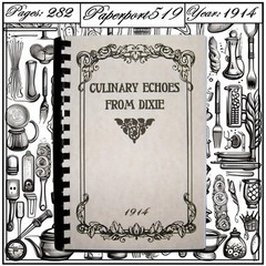 1914 Culinary Echoes From Dixie Cook Book 282 Pages