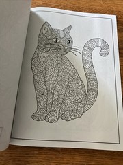 Cat Coloring Book 32 Playful Spring- Inspired Designs