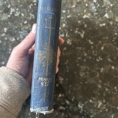 Salt Water Poems and Ballads by John Masefield 1916 MacMillan Hardcover