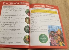 Highlights Reading And Writing Learning Fun Workbook Ages 6-7 1st Grade