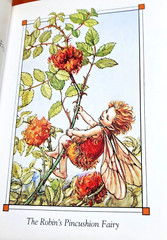 Flower Fairies of the Autumn Cicely Mary Barker 4×6″ Beautiful Art Color Plates
